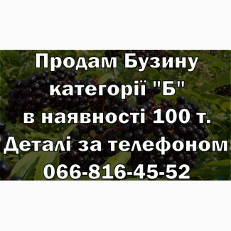 Реалізую на постійній основі Бузину категорії Б