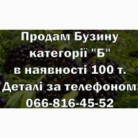 Реалізую на постійній основі Бузину категорії Б