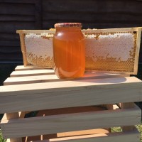 Продам мед с акации, пыльцу