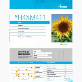 Насіння соняшника Н4ХМ411 від Нусід (Nuseed)