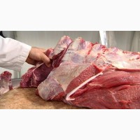 Мясо говядины: быки и коровы