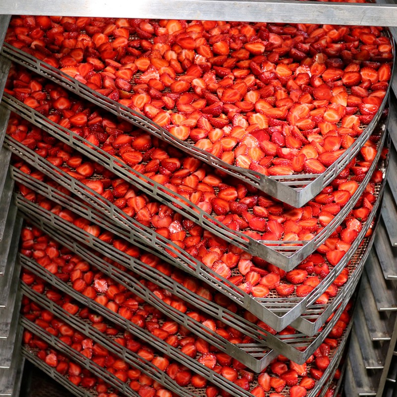 Фото 5. Промышленная сушка ягод, фруктов, овощей