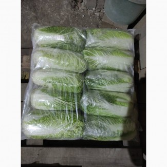 Продам пекінську капусту (Білко)