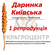 Насіння озимої пшениці ДАРИНКА КИЇВСЬКА 1 репродукція 2024р