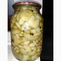 Продам грибы маслята маринованные