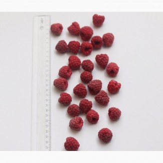 Продам малину самого высокого качества. Sell raspberries. The highest quality