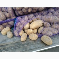 Товарный картофель 5+, сорт Бриз, 9, 5 грн/кг
