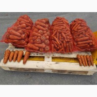 Продам морковь, сорта кесена и каскад, производитель, нал-б/н, холодильник в Броварах, Киев