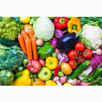 Закупаем овощи оптом крупными объёмами по всей Украине