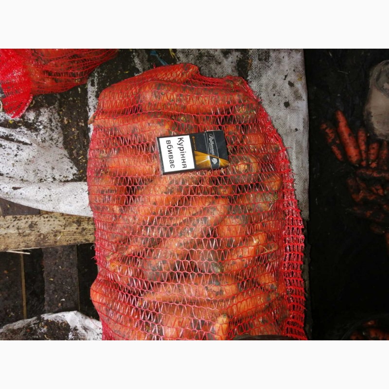 Фото 3. Продам моркву Днепр есть 30 тон