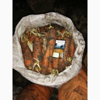 Продам моркву Днепр есть 30 тон