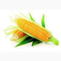 Закупаем Урожай кукурузы