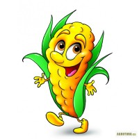 Семена кукурузы от производителя - Гибрид ПОЛТАВА (F1)