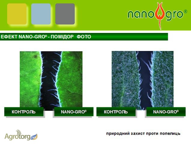 Фото 7. Біостимулятор росту рослин Нано-Гро для усіх культур.!!