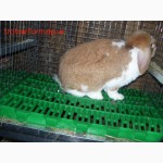 Продам платиковый настил для кроликов