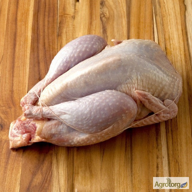 Фото 3. Тушки BIO перепелиные, фазана и курицы свежие