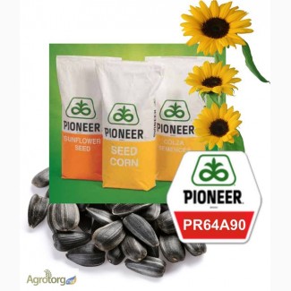 Семена подсолнечника Пионер PR64А90