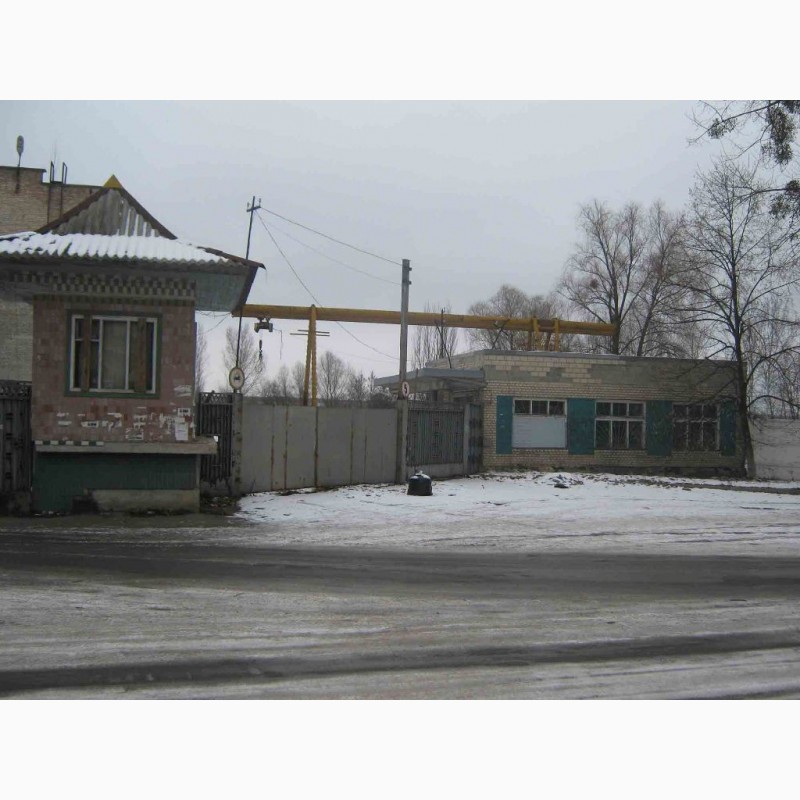 Фото 3. Продам два кирпичных зданияздания ( на фасаде ), город Ирпень, центр, Киев 9 км