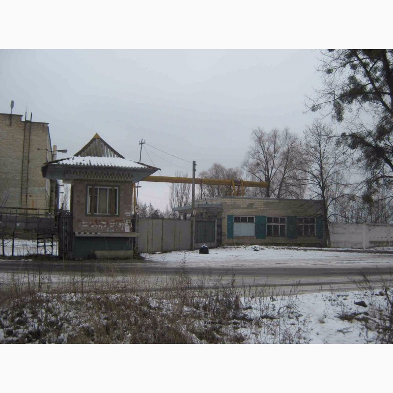 Фото 7. Продам два кирпичных зданияздания ( на фасаде ), город Ирпень, центр, Киев 9 км