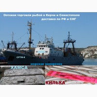 Крымская хамса 24 часа оптом от 20 тонн СРТМ-к Качество 100%