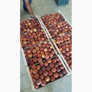Продам персики