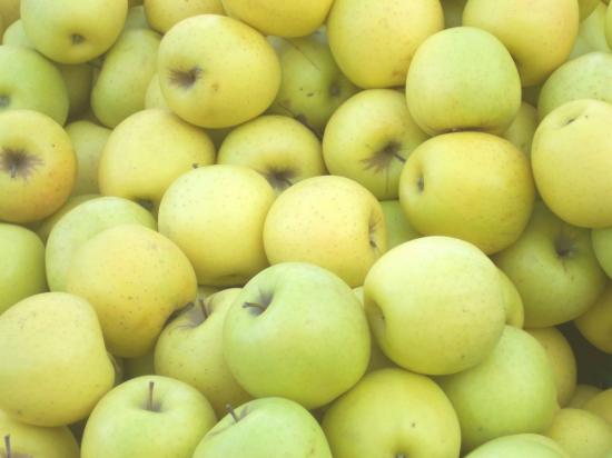 Фото 2. Продам яблоки урожай 2018 года