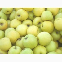 Продам яблоки урожай 2018 года