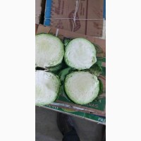Продаем молодую капусту и Узбекистан