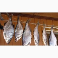 Продам вяленную рыбу в больших количествах