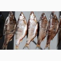 Продам вяленную рыбу в больших количествах