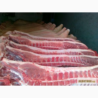 Продам мясо Свинина и Говядина Полутуши, Блочка, Разделка. хорошая цена и качество, киев