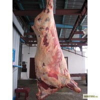 Продам говядину в полутушах, субпродукты, блочное мясо В/с,1,2 сорт
