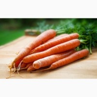 Куплю морковь оптом от 20т