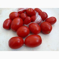 Продажа оптом помидоров