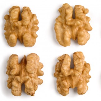 Grade AA Walnuts sale good price