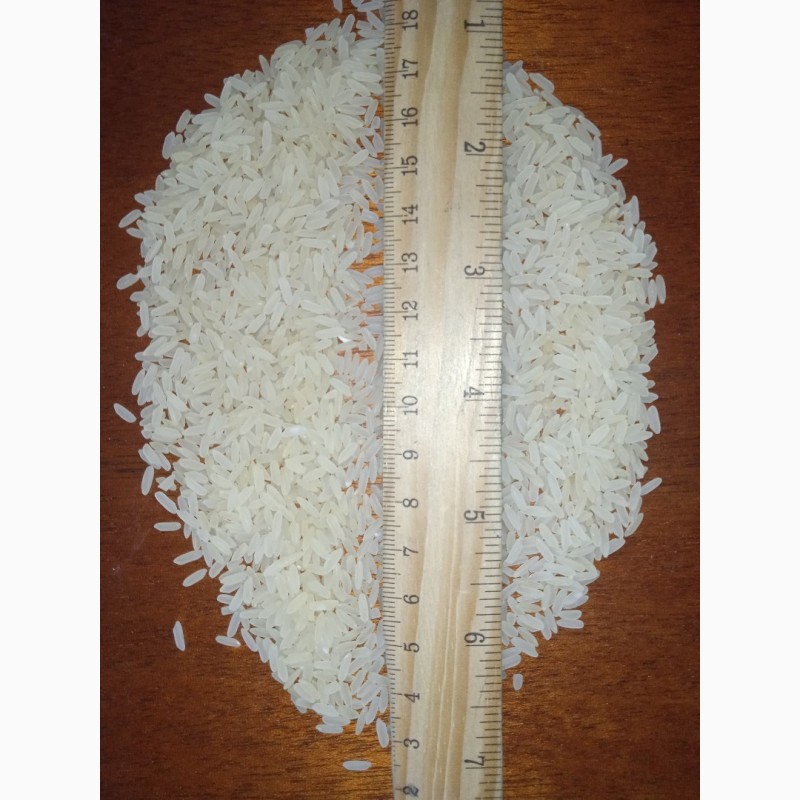 Фото 2. Крупа рисовая