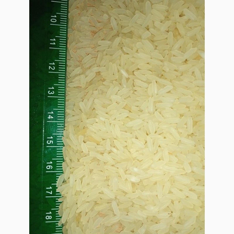 Фото 3. Крупа рисовая
