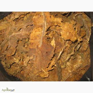 Табак в листе. Сорт Берли и Гавана