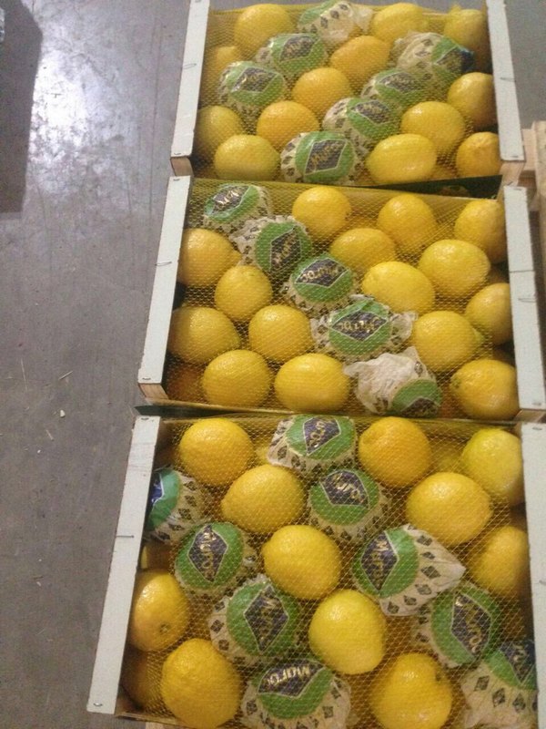 Фото 5. Продём лимоны
