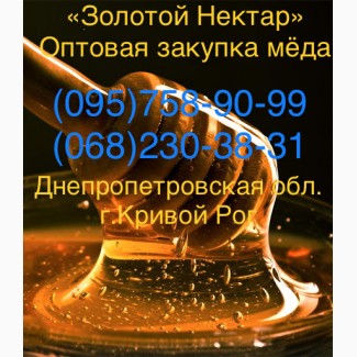 Золотой Нектар Оптовая закупка меда (Кривой Рог)