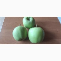 Продаю яблука сорту Айдаред, Лігол, Муцу врожай 2022 року