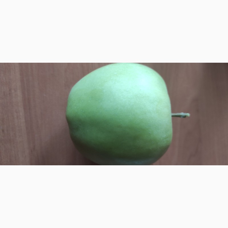 Фото 2. Продаю яблука сорту Айдаред, Лігол, Муцу врожай 2022 року