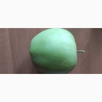 Продаю яблука сорту Айдаред, Лігол, Муцу врожай 2022 року