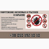 Дезинфекция от тараканов в Харькове