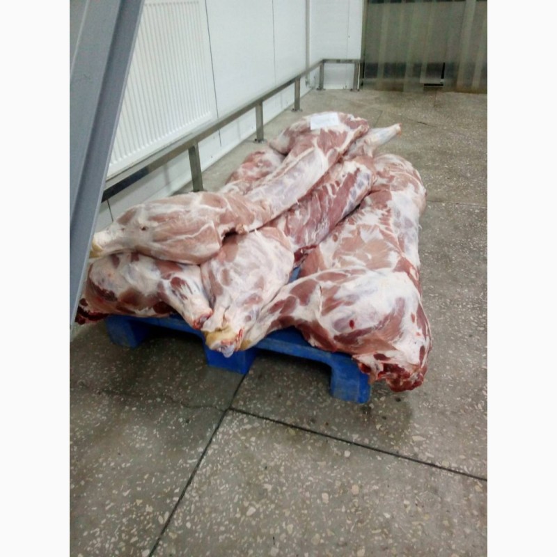 Фото 3. Продам мясо свинины