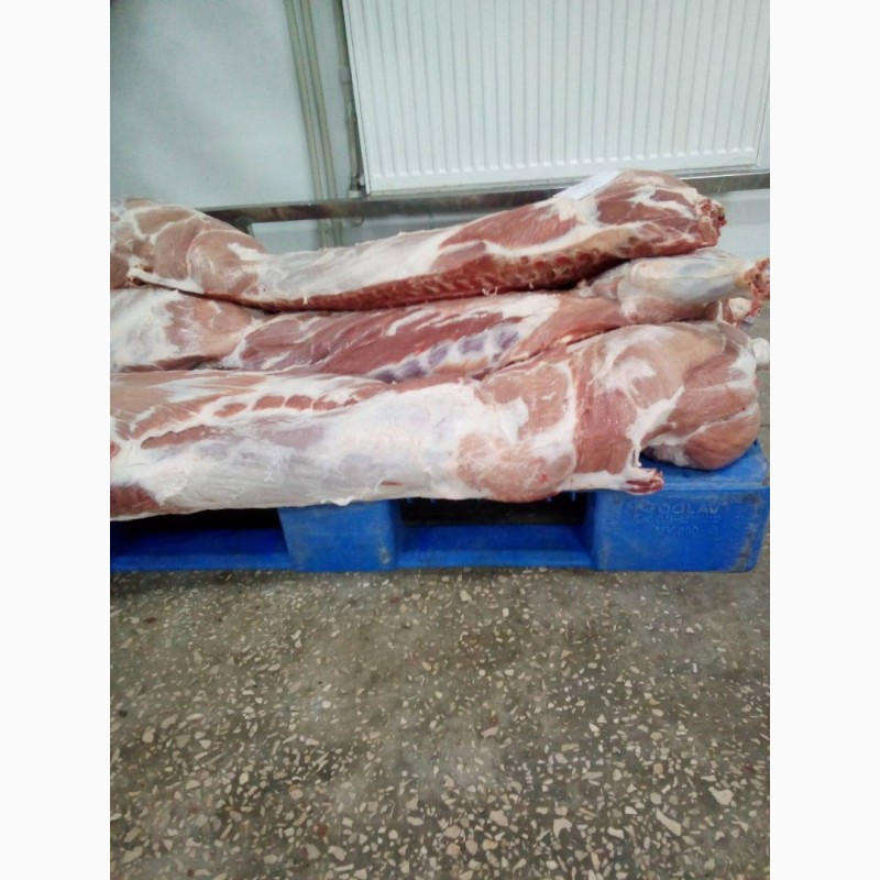 Фото 5. Продам мясо свинины