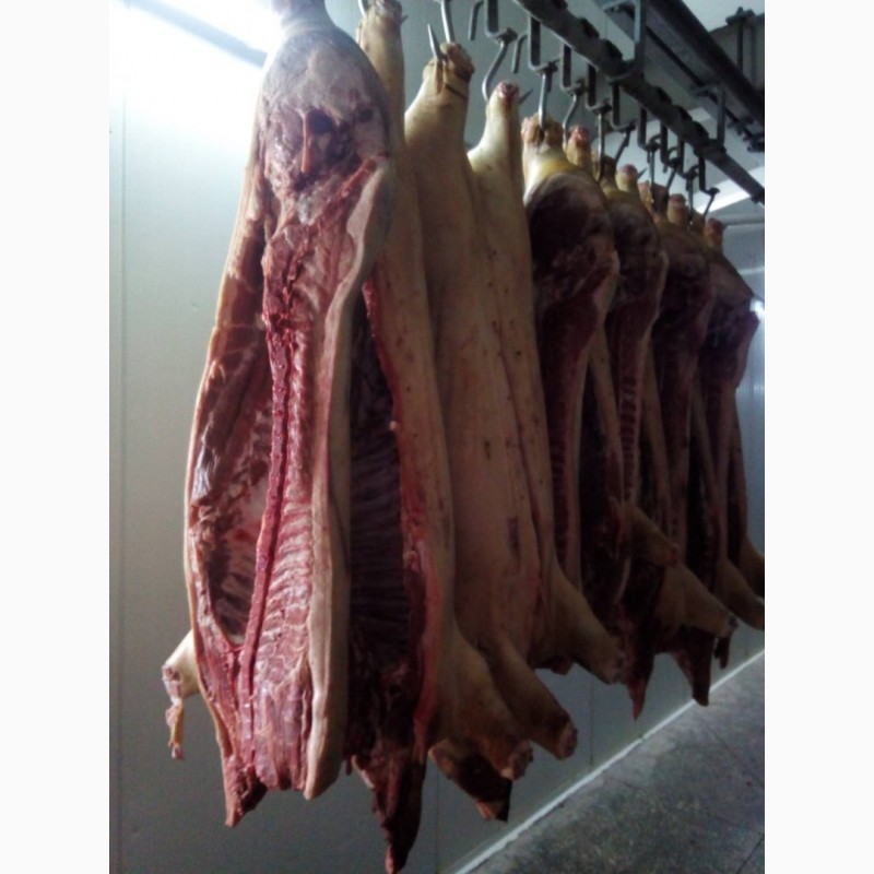 Фото 9. Продам мясо свинины