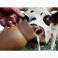 Сухое молоко Лактивит молочная смесь корм