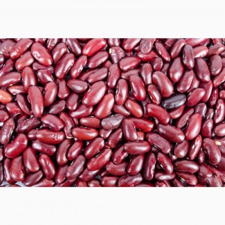 Фасоль (Beans)