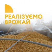Експорт зерна, експорт врожаю, продаж зерна